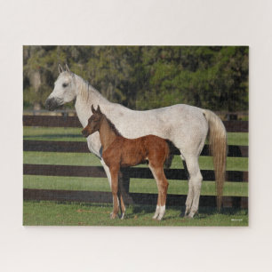 Bob Langrish Arab Mare and Foal Standing Together Jigsaw Puzzle