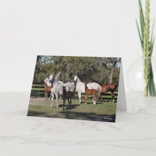 Bob Langrish   Arab Mares and Foals Standing Card