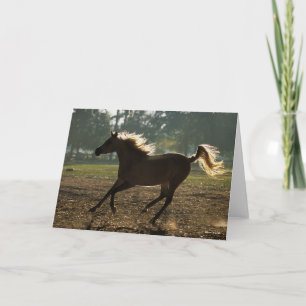 Bob Langrish   Arab Running Backlit Card