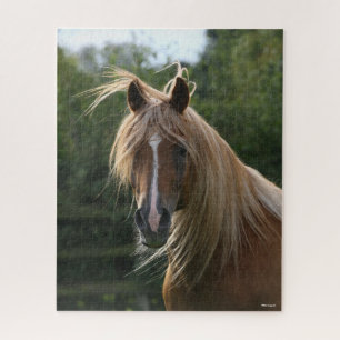 Bob Langrish   Arab Stallion Headshot Jigsaw Puzzle