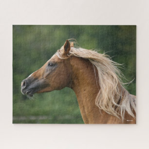 Bob Langrish Arab Stallion headshot Mane Flowing Jigsaw Puzzle