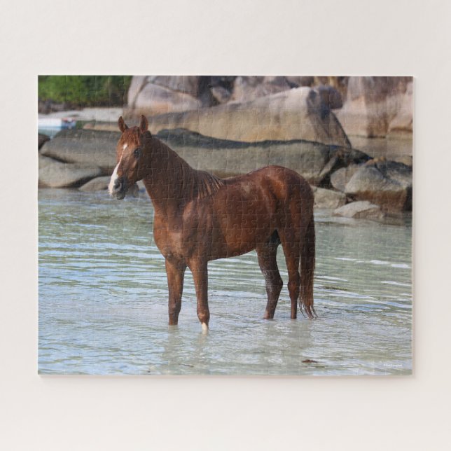 Bob Langrish | Arab Stallion Standing In Water Jigsaw Puzzle (Horizontal)