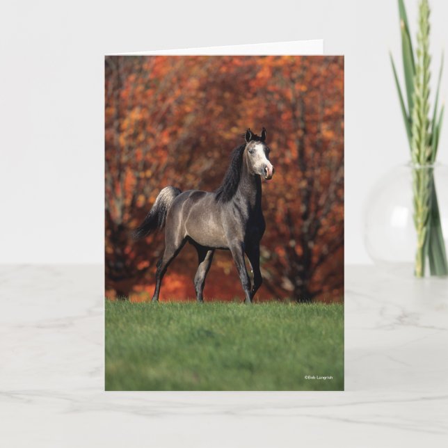 Bob Langrish | Arab Standing Autumn Background Card (Front)