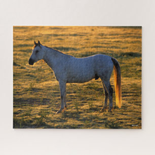 Bob Langrish Arab Standing Backlit Jigsaw Puzzle