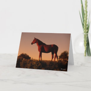 Bob Langrish   Arab Standing In Sunset Card