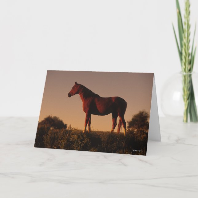 Bob Langrish | Arab Standing In Sunset Card (Front)