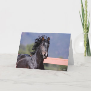 Bob Langrish   Back Andalucian Headshot Card