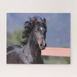 Bob Langrish Back Andalucian Headshot Jigsaw Puzzle