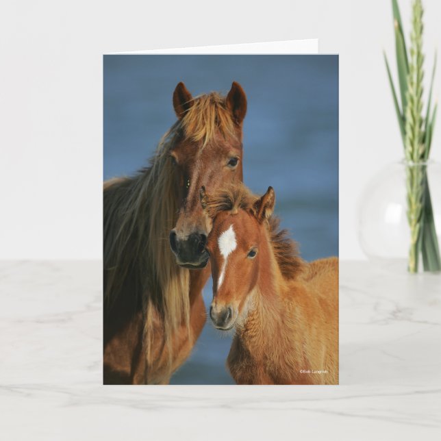 Bob Langrish | Banker Pony Mare and Foal Headshot Card (Front)
