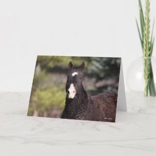 Bob Langrish   Bashkir Curly Mare headshot Card