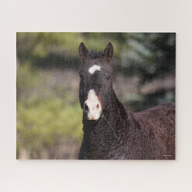 Bob Langrish | Bashkir Curly Mare headshot Jigsaw Puzzle (Horizontal)