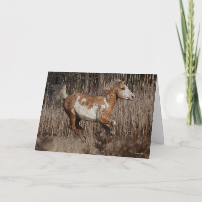 Bob Langrish | Bashkir Curly Stallion Running Card (Front)