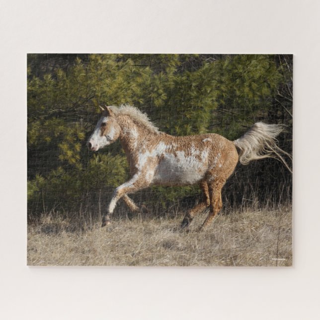 Bob Langrish | Bashkir Curly Stallion Running Jigsaw Puzzle (Horizontal)
