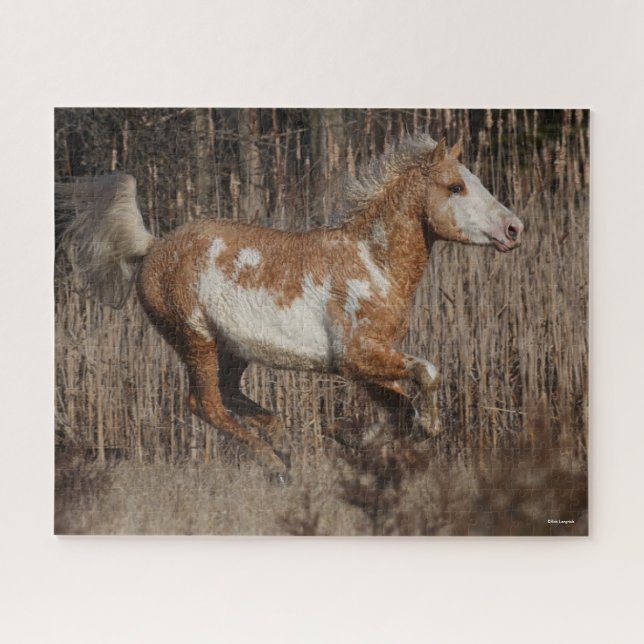Bob Langrish | Bashkir Curly Stallion Running Jigsaw Puzzle (Horizontal)
