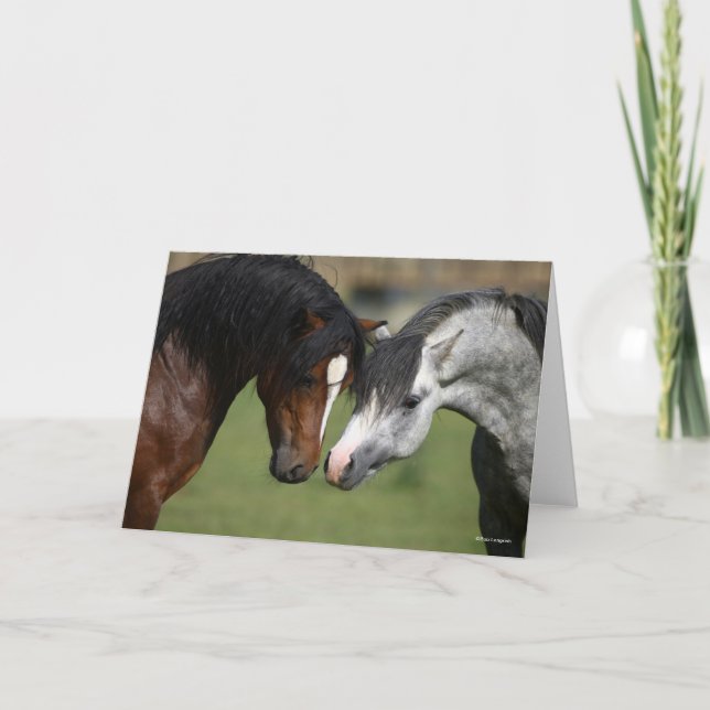 Bob Langrish | Bay and Grey Welsh Ponies Meeting Card (Front)
