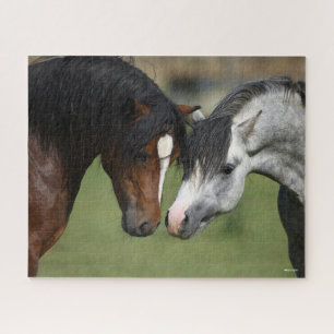 Bob Langrish Bay and Grey Welsh Ponies Meeting Jigsaw Puzzle
