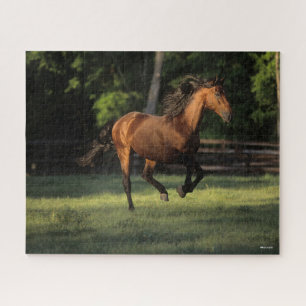 Bob Langrish Bay Andalucian Horse Running Jigsaw Puzzle