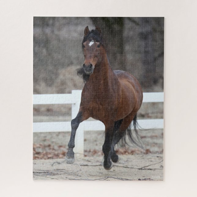 Bob Langrish | Bay Andalucian Stallion Running Jigsaw Puzzle (Vertical)
