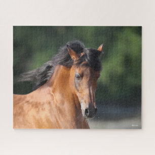 Bob Langrish Bay Arab headshot Jigsaw Puzzle
