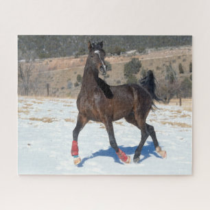 Bob Langrish Bay Arab Horse Running In Snow Jigsaw Puzzle