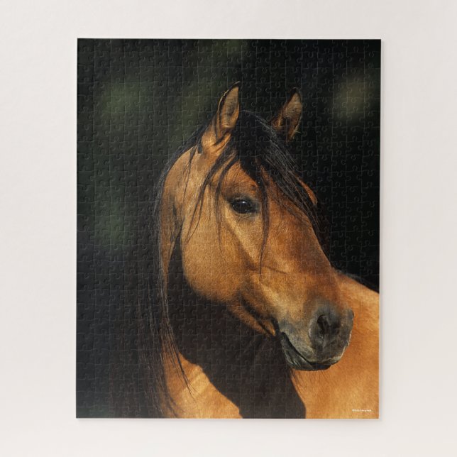 Bob Langrish | Bay Kiger Mustang Stallion Headshot Jigsaw Puzzle (Vertical)