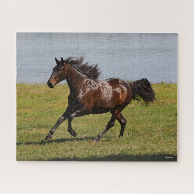 Bob Langrish | Bay Lusitano Mare Running Near Lake Jigsaw Puzzle (Horizontal)