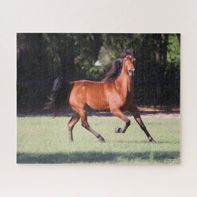 Bob Langrish | Bay Tennessee Walker Running Jigsaw Puzzle (Horizontal)