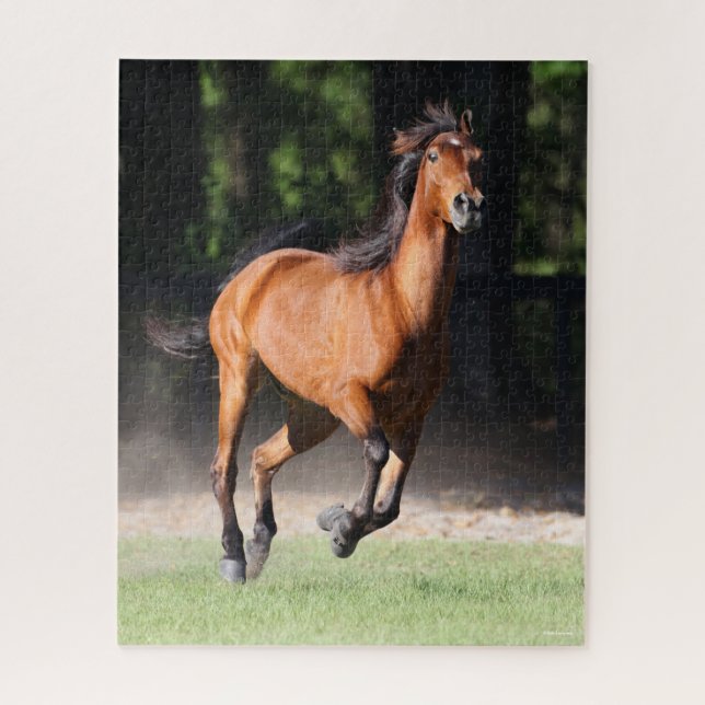 Bob Langrish | Bay Tennessee Walker Running Jigsaw Puzzle (Vertical)