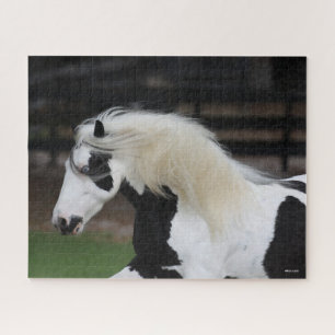 Bob Langrish Black And White Gypsy Vanner Headshot Jigsaw Puzzle