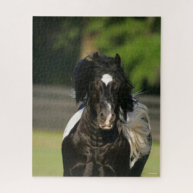 Bob Langrish Black and White Gypsy Vanner Headshot Jigsaw Puzzle (Vertical)