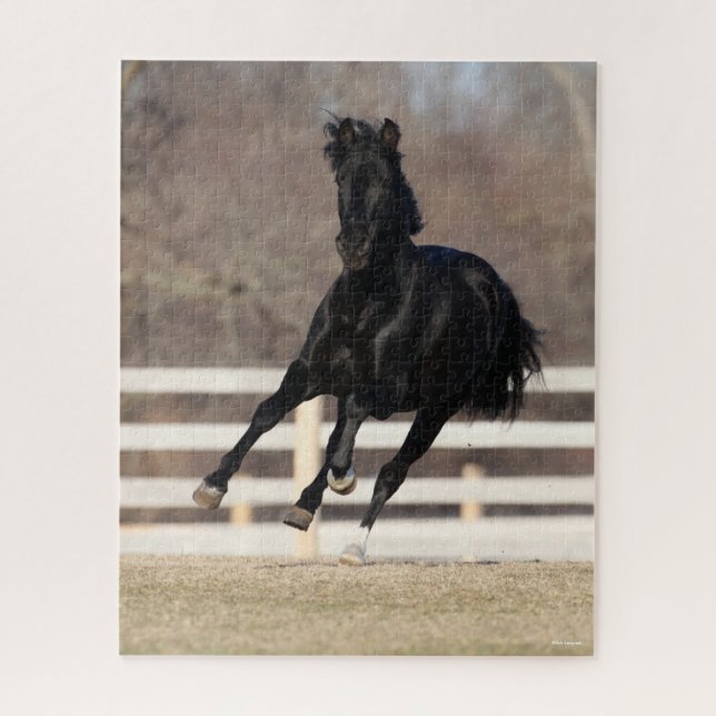 Bob Langrish | Black Andalucian Horse Running Jigsaw Puzzle (Vertical)