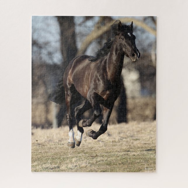 Bob Langrish | Black Andalucian Horse Running Jigsaw Puzzle (Vertical)