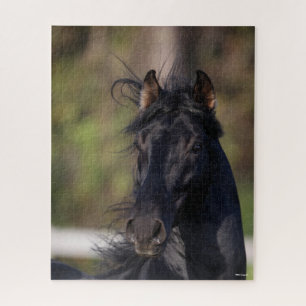 Bob Langrish Black Andalucian Stallion Headshot Jigsaw Puzzle
