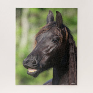 Bob Langrish   Black Friesian Flehmen Headshot Jigsaw Puzzle