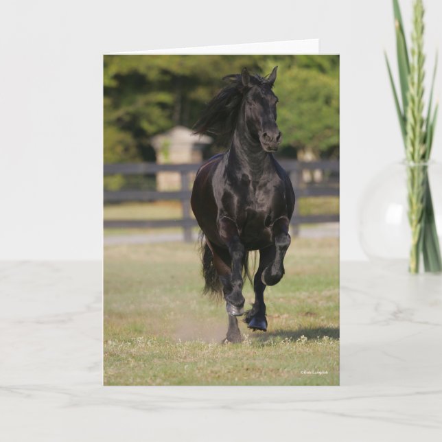 Bob Langrish | Black Friesian Horse Running Card (Front)