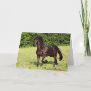 Bob Langrish   Black Friesian Horse Running Card