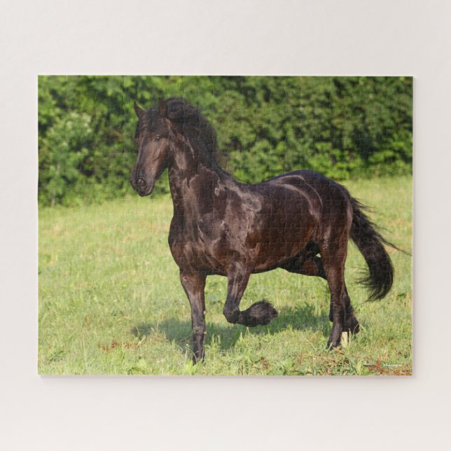 Bob Langrish | Black Friesian Horse Running Jigsaw Puzzle (Horizontal)