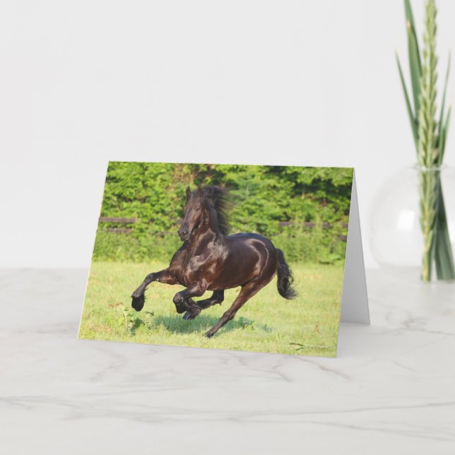 Bob Langrish | Black Friesian Running Card (Front)