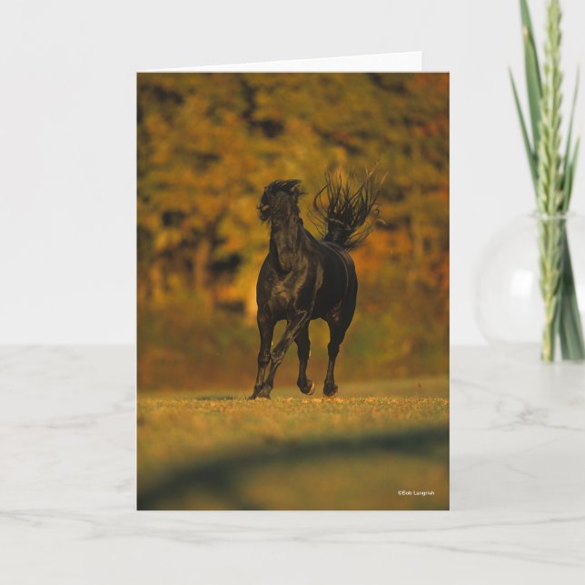 Bob Langrish | Black Friesian Running In Autumn Card (Front)