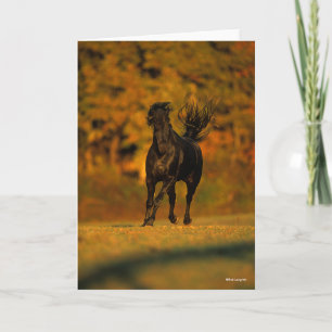 Bob Langrish   Black Friesian Running In Autumn Card