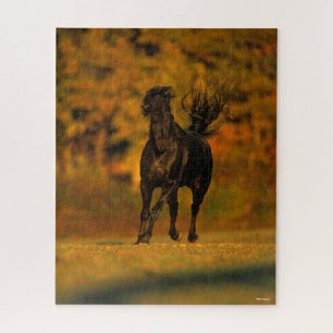 Bob Langrish   Black Friesian Running In Autumn Jigsaw Puzzle
