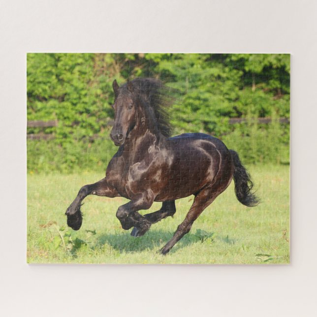 Bob Langrish | Black Friesian Running Jigsaw Puzzle (Horizontal)
