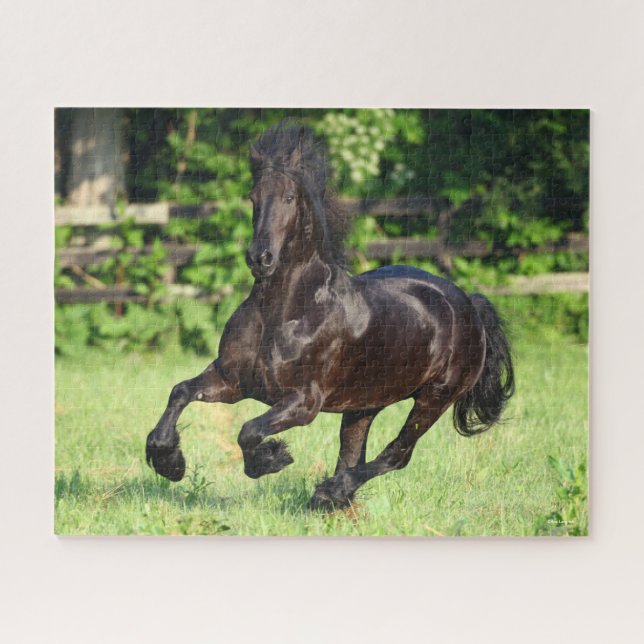 Bob Langrish | Black Friesian Running Jigsaw Puzzle (Horizontal)