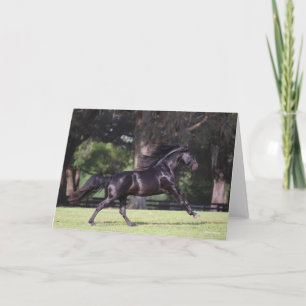 Bob Langrish   Black Lusitano Running Card