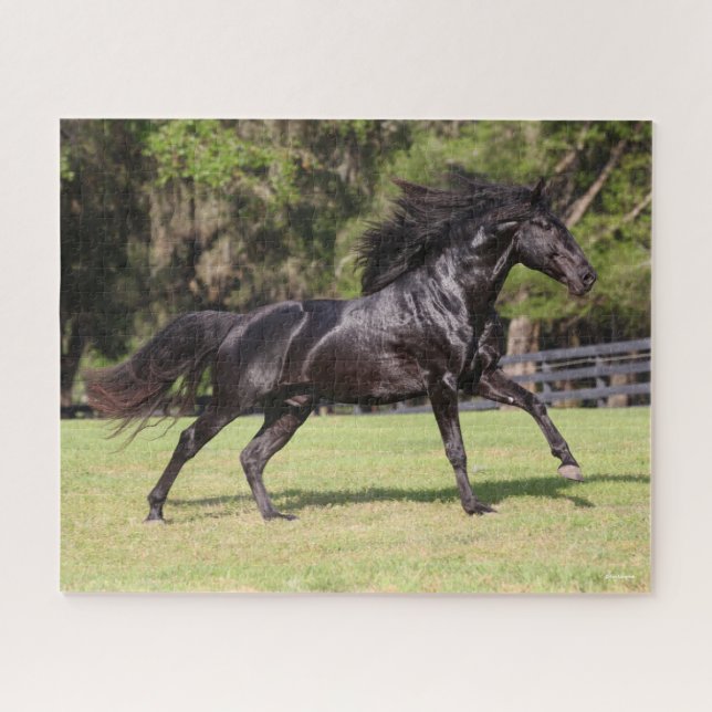 Bob Langrish | Black Lusitano Running Jigsaw Puzzle (Horizontal)