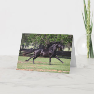 Bob Langrish   Black Lusitano Running Mane Flowing Card