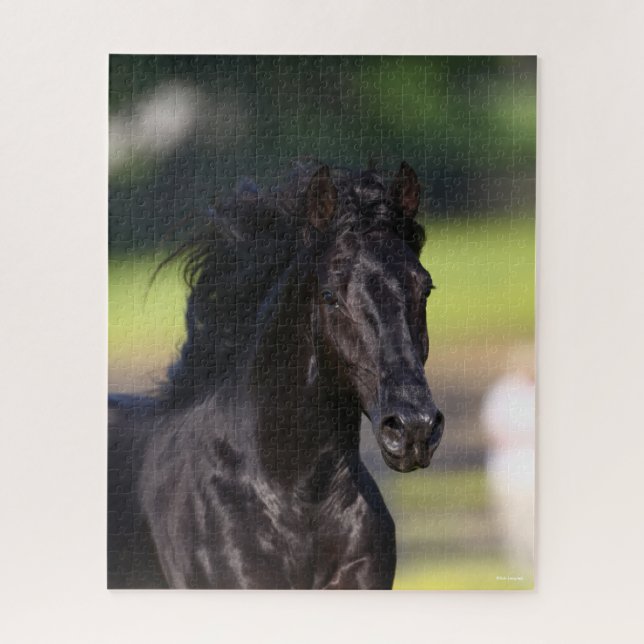 Bob Langrish | Black Rocky Mountain Horse headshot Jigsaw Puzzle (Vertical)