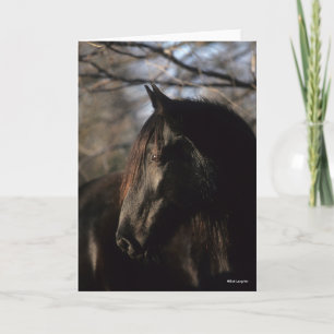 Bob Langrish   Black Tennessee Walker Headshot Card