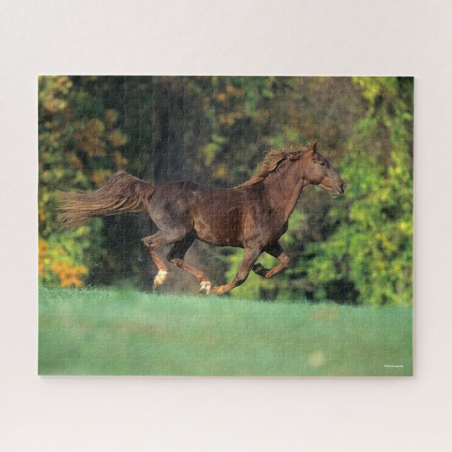 Bob Langrish | Brown Rocky Mountain Horse Running Jigsaw Puzzle (Horizontal)