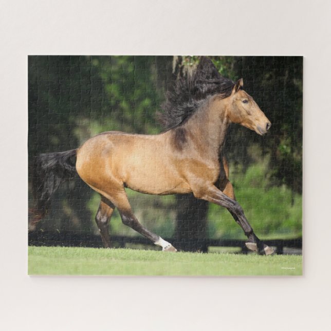 Bob Langrish | Buckskin Lusitano Running Jigsaw Puzzle (Horizontal)